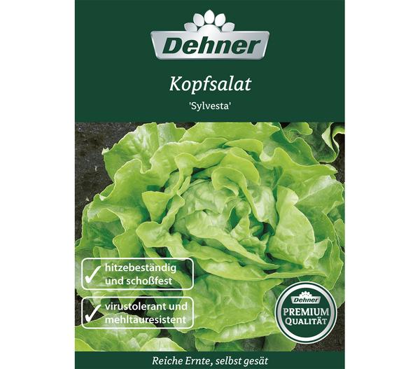 Dehner Premium Samen Kopfsalat 'Sylvesta'