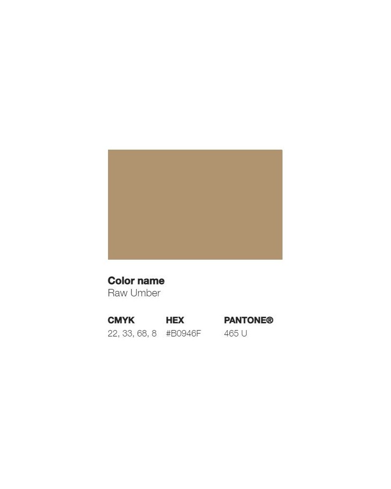 Terre d'Ombre Brute