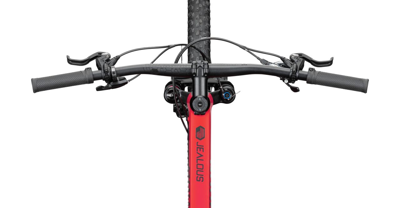 Radon Jealous AL 9.0 kaufen | Bike-Discount