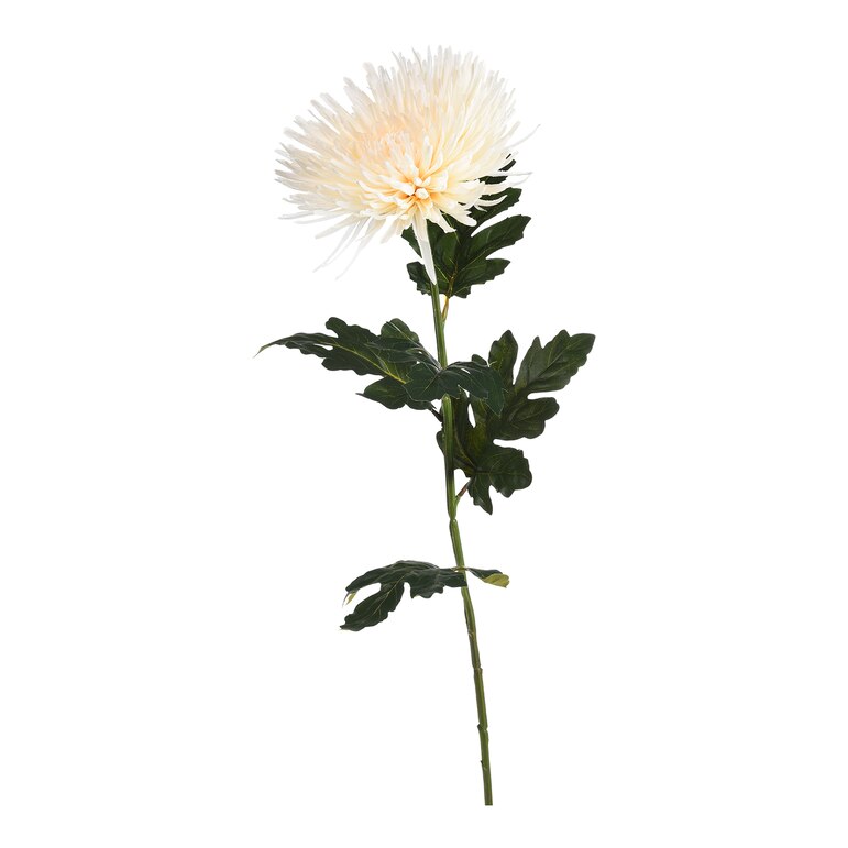 creme, L 78 cm