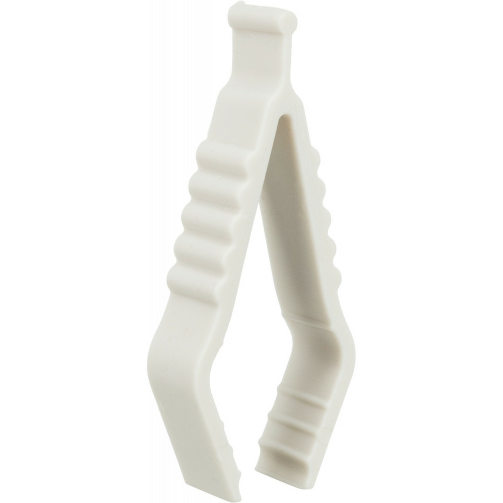 Seiche pierre de calcium avec support, 40 g