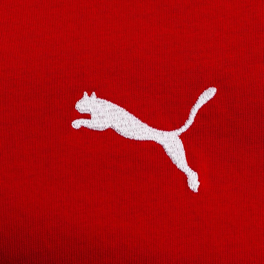 PUMA T-Shirt teamGOAL 23 Casuals - Rouge Enfant