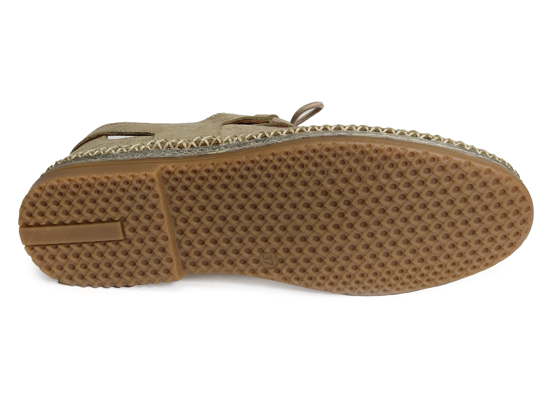 Molene kaki