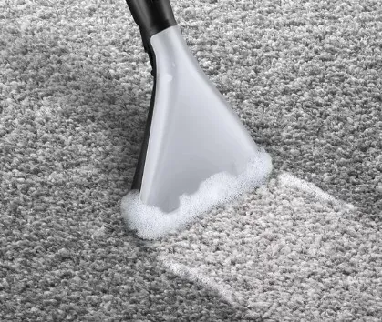 Bosch Serie | 4 AquaWash&Clean BWD421PRO - Støvsuger - beholder - pose / uden pose - hvid/sort