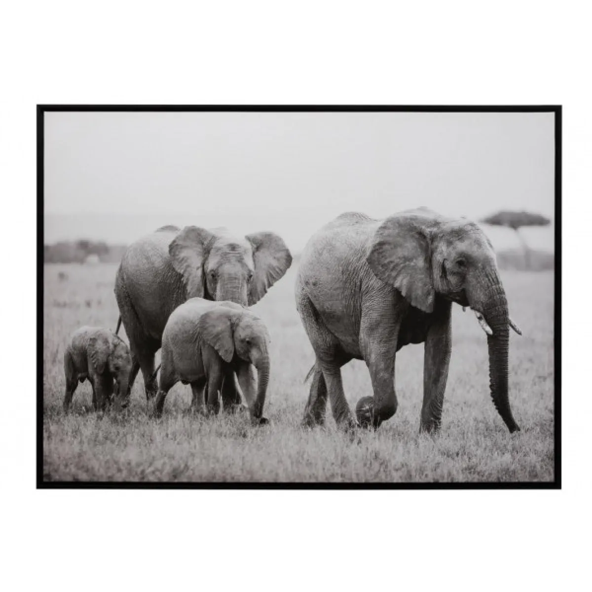 Dansmamaison Cadre Elephant Bois/Papier