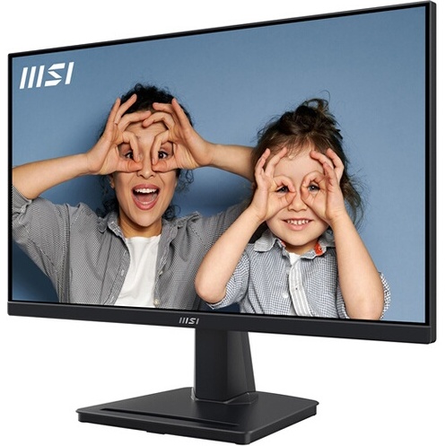 Ecran PC Msi PRO MP225V