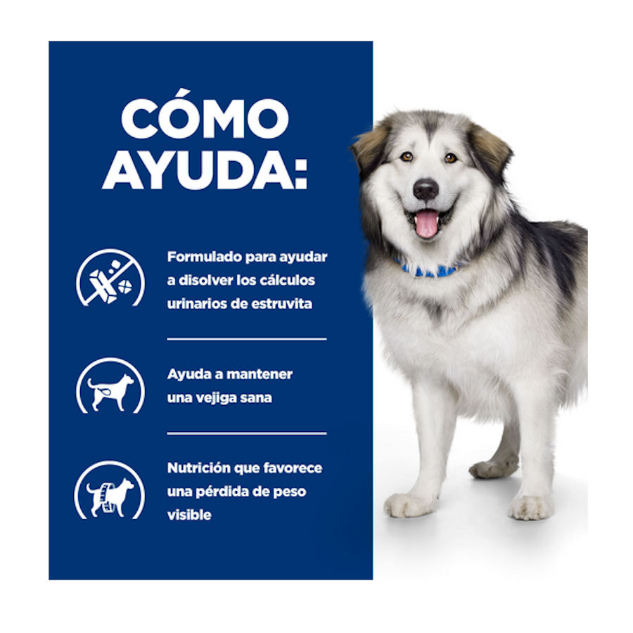 Ração Hill's Prescription Diet Urinary + Metabolic c/d para cães