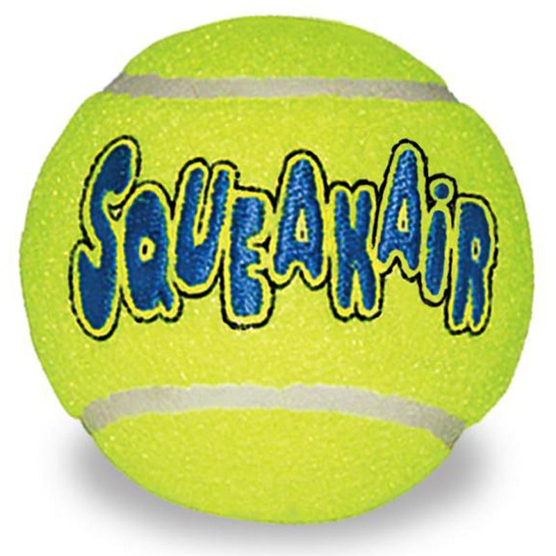 2 balles de tennis KONG  L