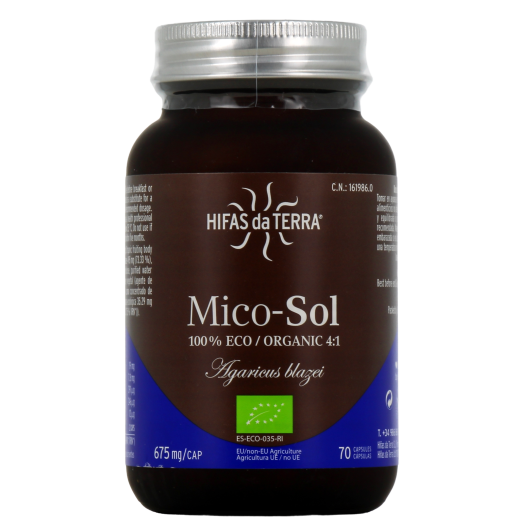 Hifas da Terra Mico-Sol : système immunitaire - Mycothérapie