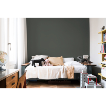 Sikkens muurverf kleurtester Rijks puur groen mat 30 ml