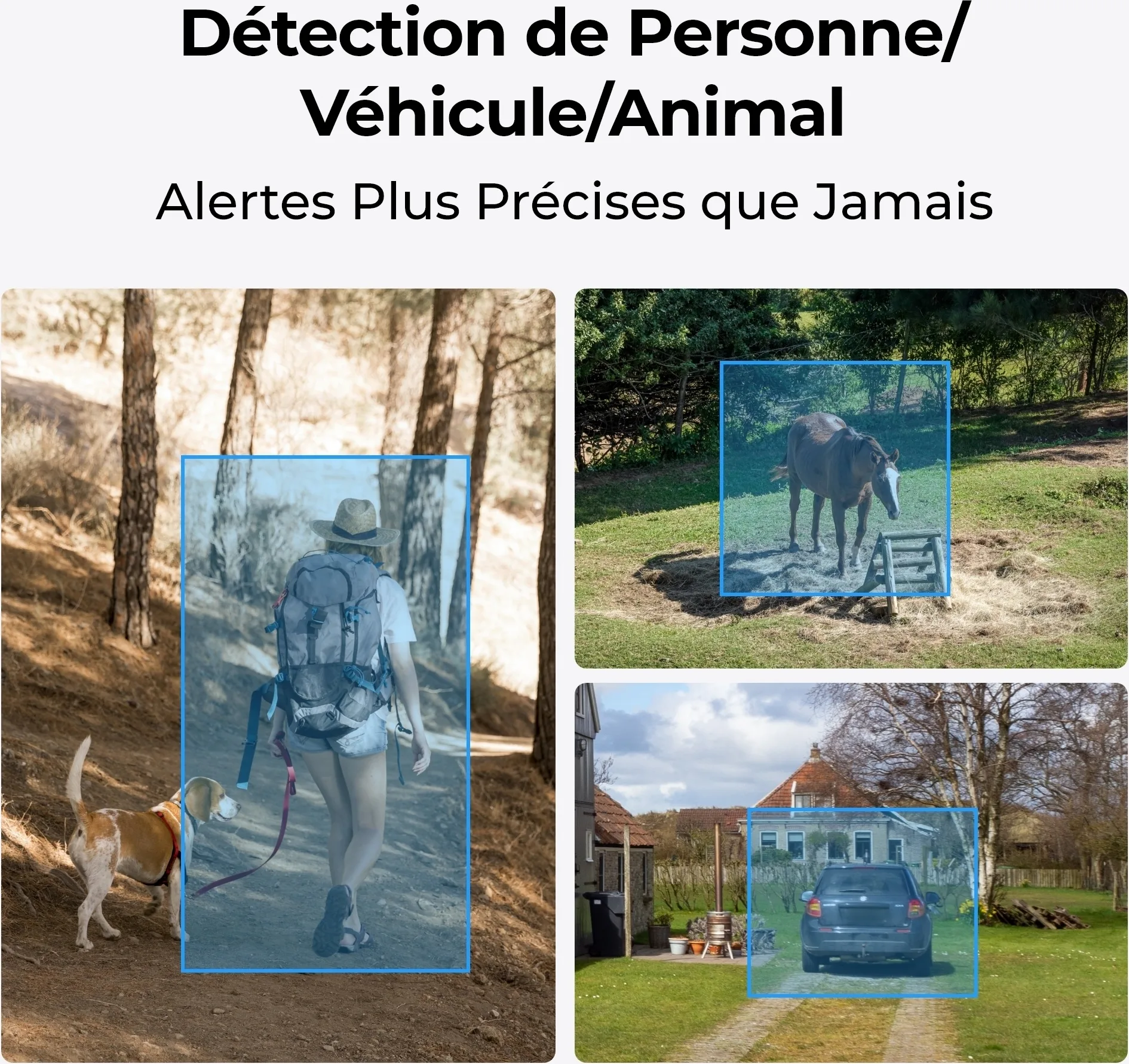 Reolink Go Series G430 avec panneau solaire Caméra de surveillance