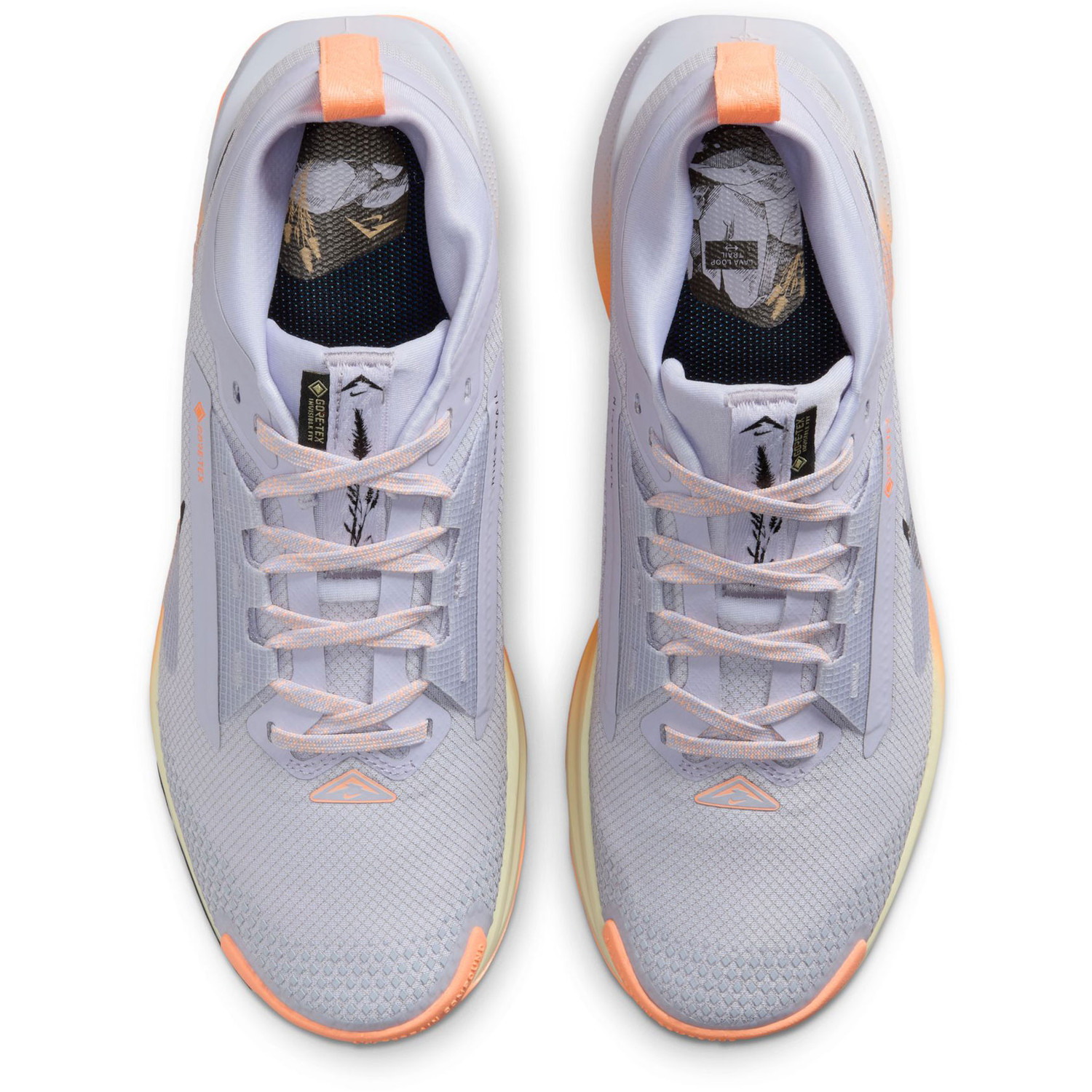Nike Pegasus Trail 5 GTX Dames