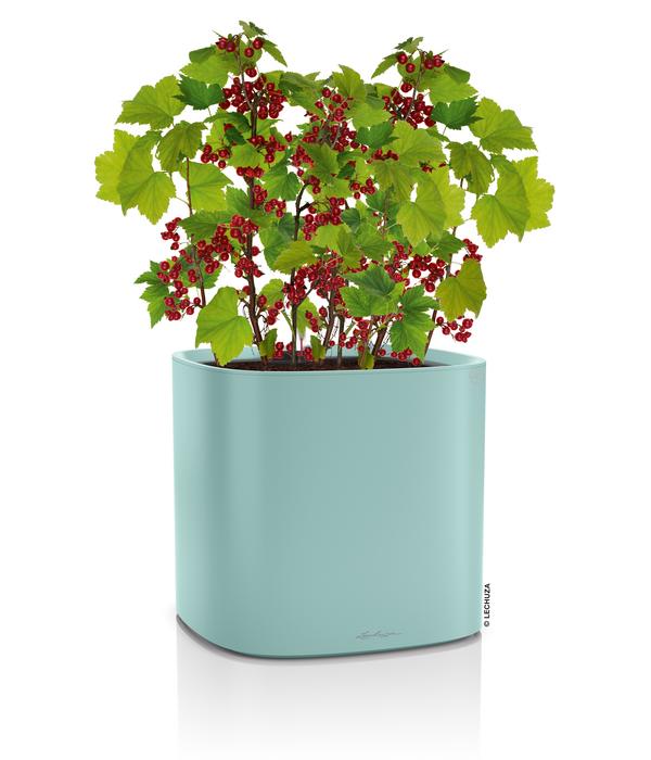 LECHUZA® Kunststoff-Topf PILA Color Planter,