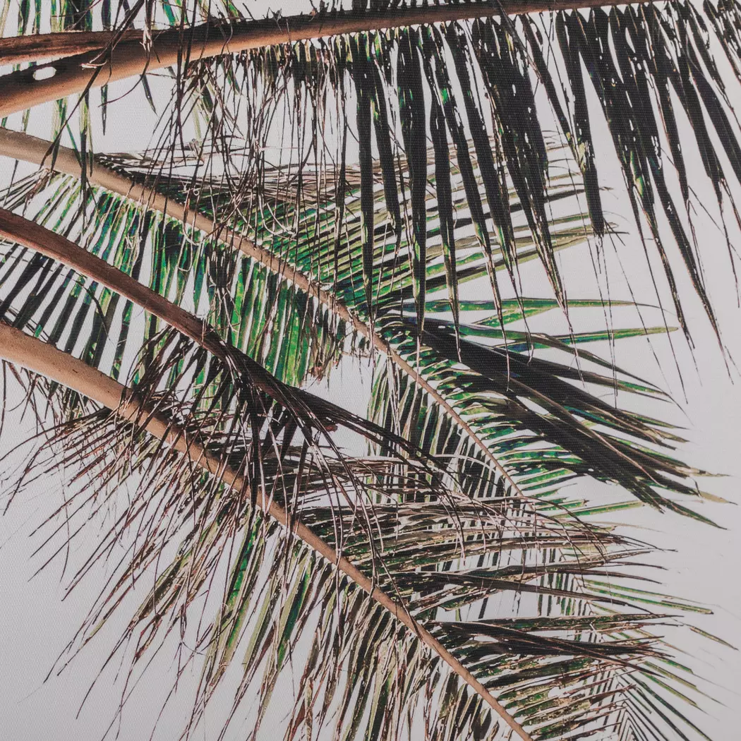 Wandbild 62,6 x 92,6 cm Palme