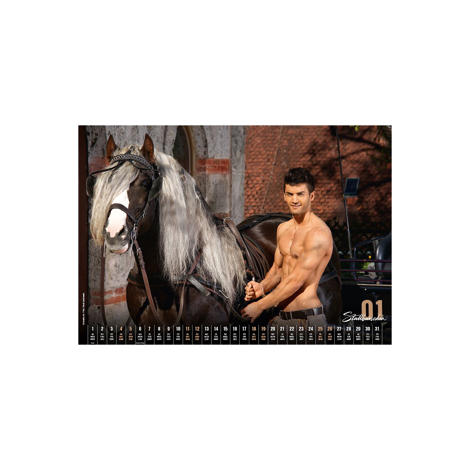 Stallburschen-Kalender  - 2025