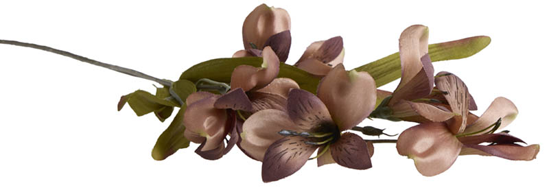 Inkalilje stilkblomst 58 cm