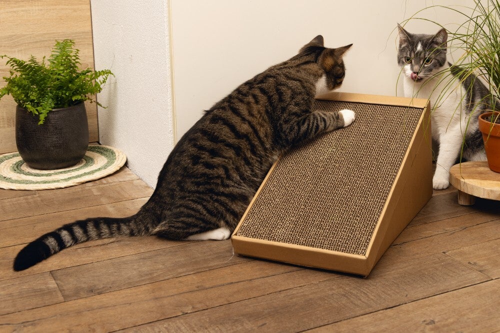 Beeztees krabplank Minus One bruin 49 x 25 x 24,5 cm