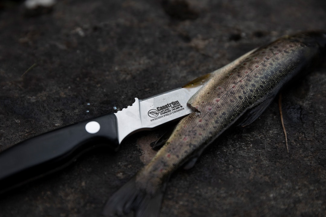 Casström Swedish Field Dresser<br>Innovativ jaktkniv!
