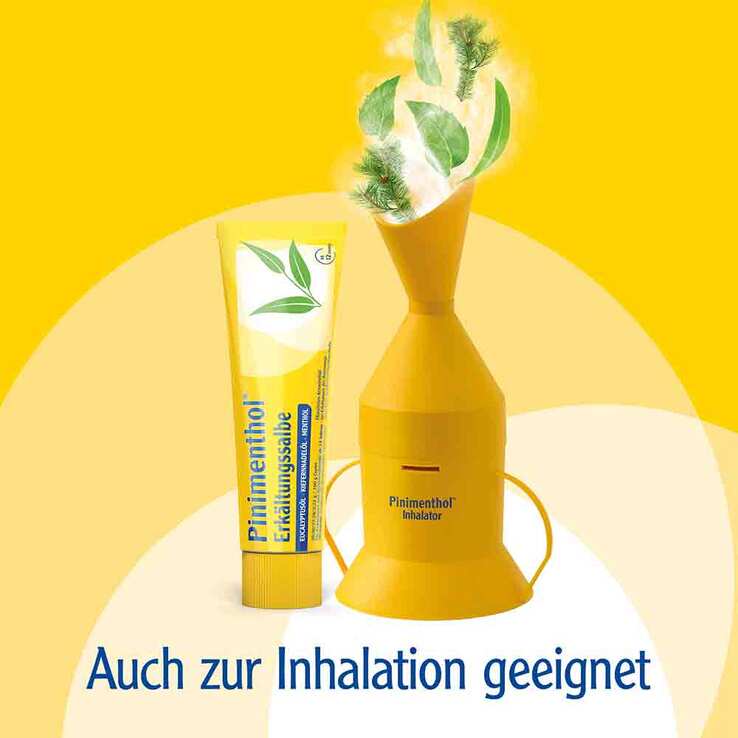 Pinimenthol® Erkältungssalbe Eucalyptusöl Kiefernnadelöl Menthol, 20 g