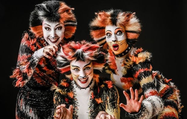 Musical & Dinner in Limbach-Oberfrohna mit 3-/4-Gänge-Menü