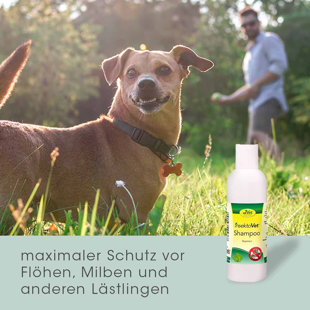 cd Vet insektoVet® Shampoo