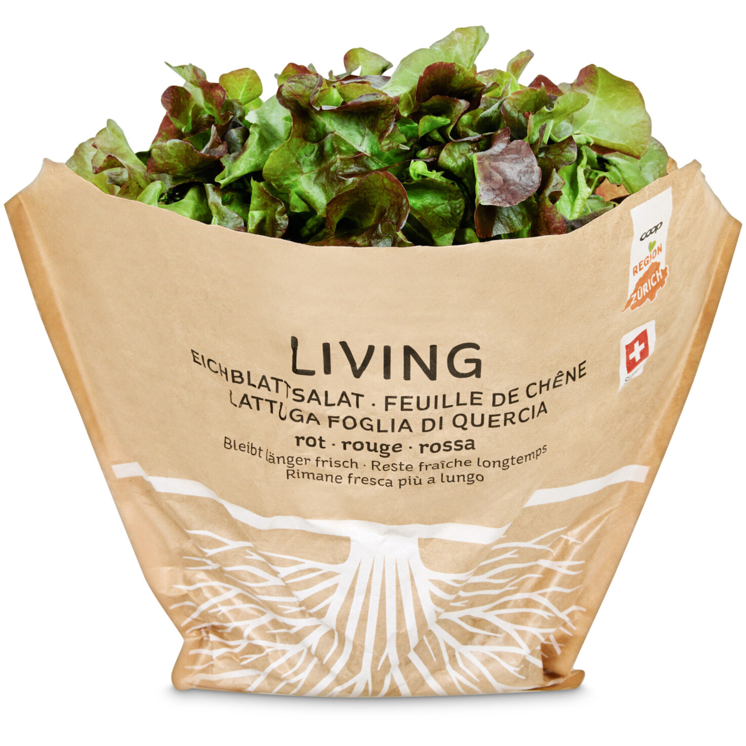 Living Eichblattsalat rot -