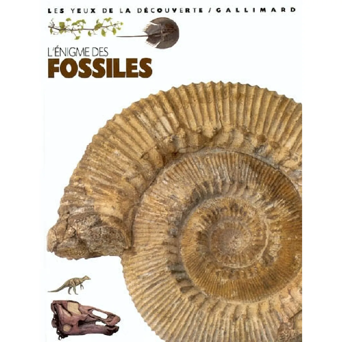L'énigme des fossiles · Occasion