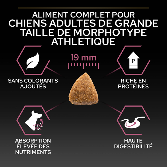 Croquettes chien adulte athlétique au saumon Super Premium - 14 kg