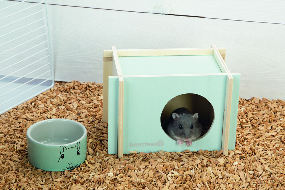 Beeztees Bildup - Hamsterhuis - Mint - 11x12x17 cm - S