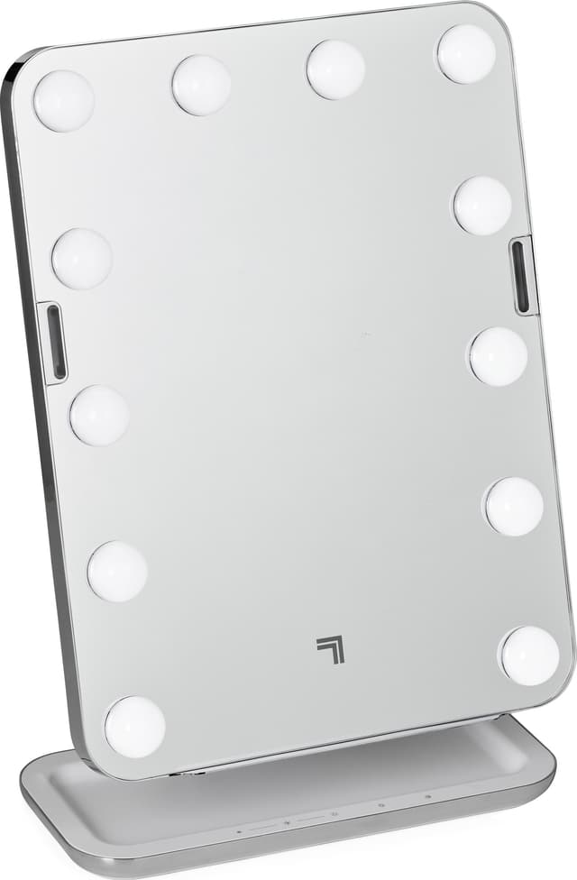 Sharper Image spejl P001310