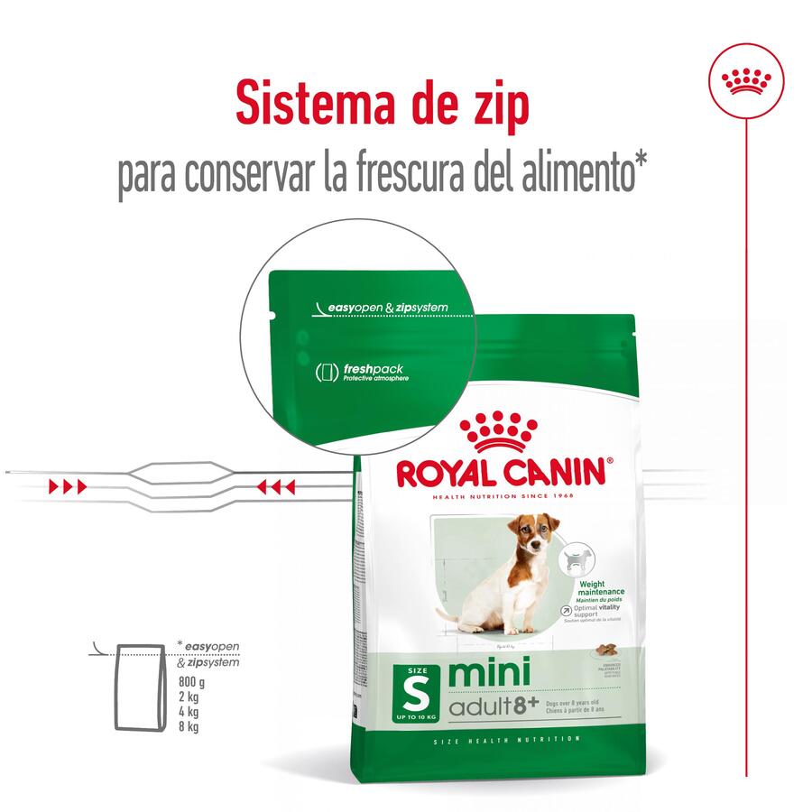 Ração Royal Canin Mini 8+ para cães adultos