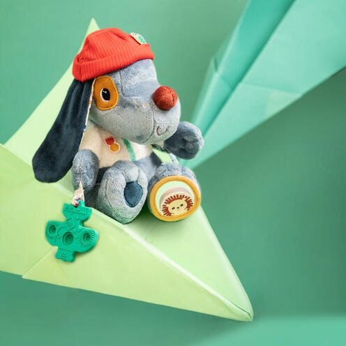 JULES CHIEN MULTI-ACTIVITES - LILLIPUTIENS
