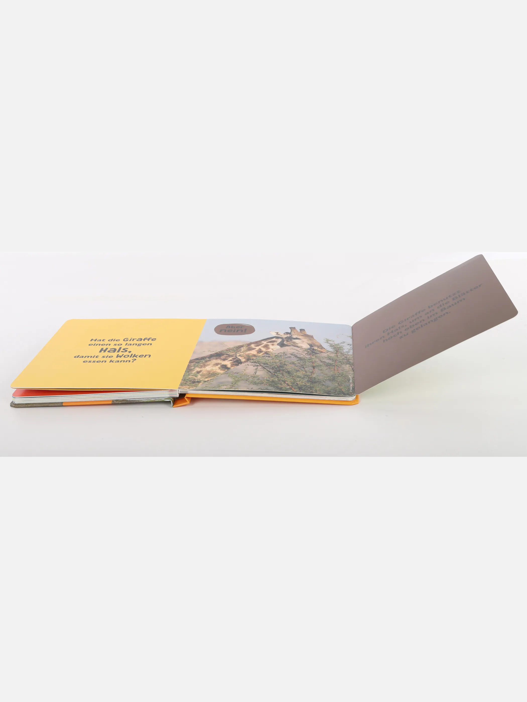 Kleinkinder Buch 