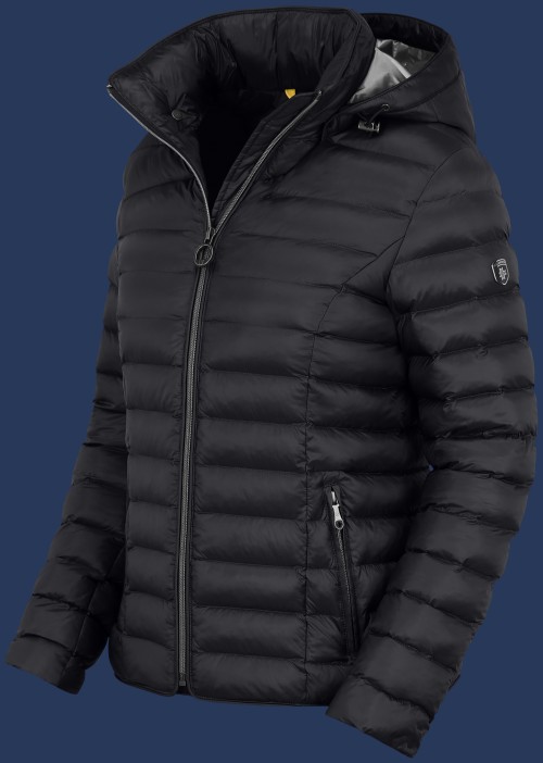 Italy Hood MoShiHiTec, Darknavy