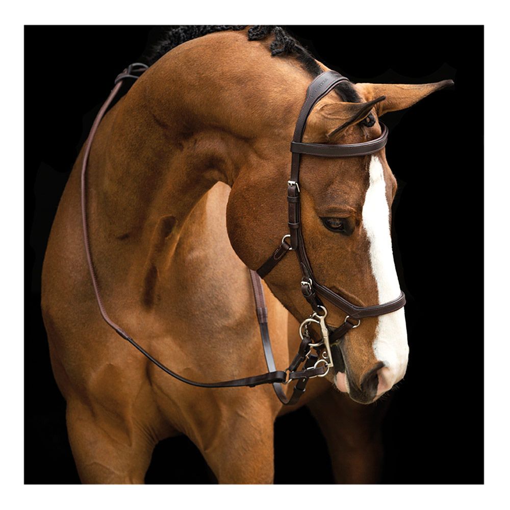 Horseware RAMBO MICKLEM COMP - Bridon dark havana