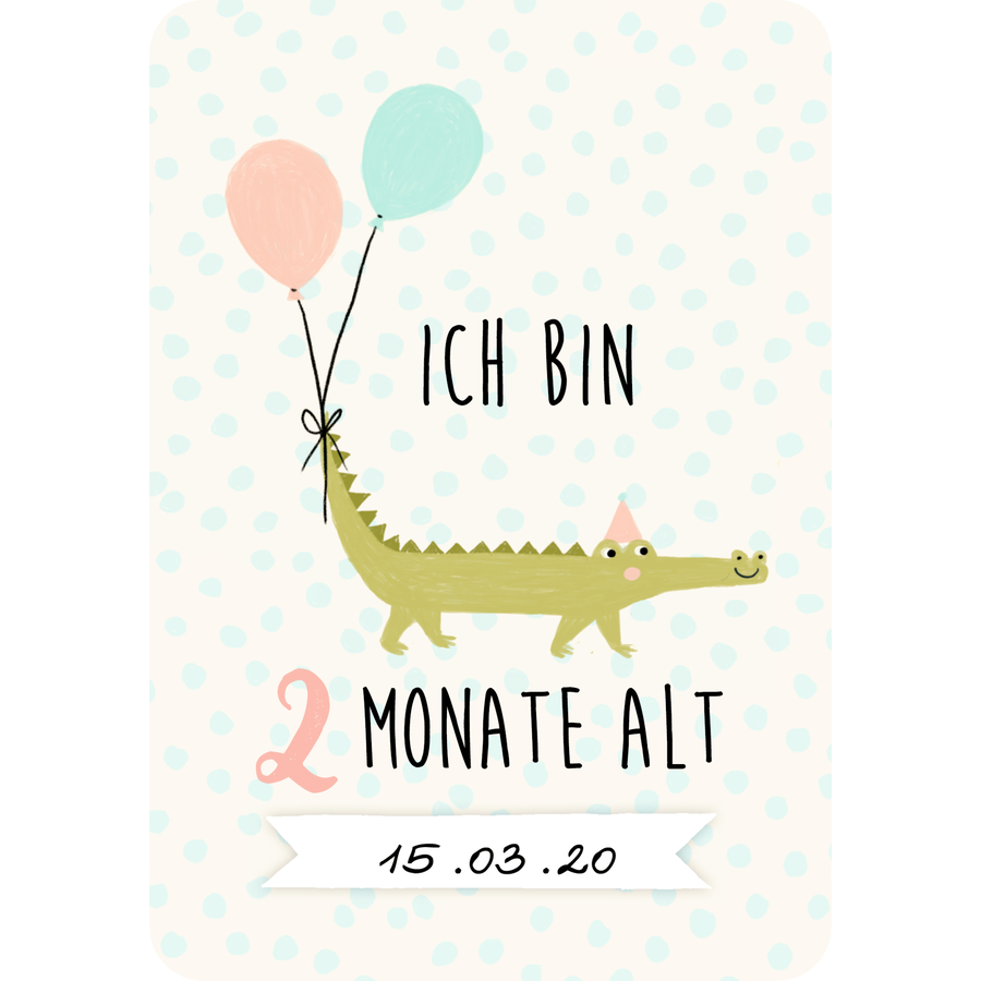 COPPENRATH Fotokarten-Box: Meine kleine Welt - Babys erstes Jahr