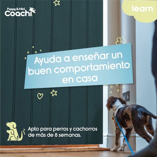Hundesele Coachi