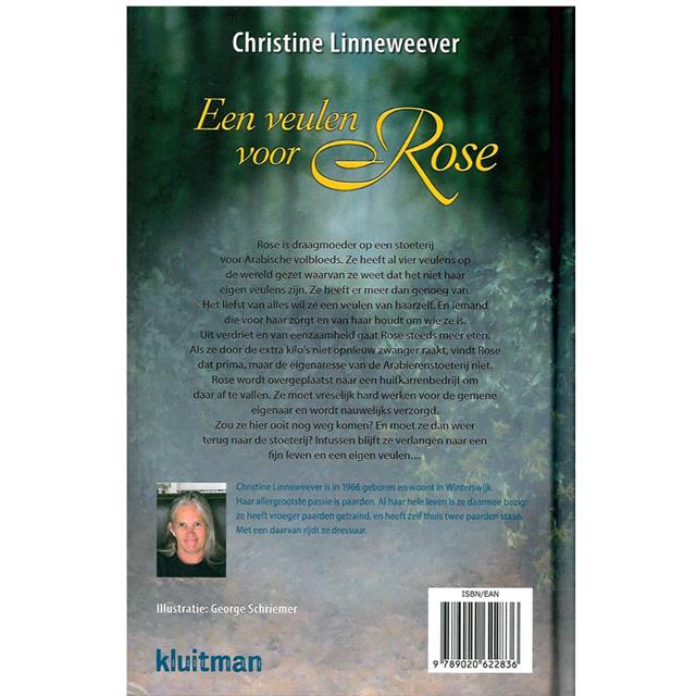 Veulen Voor Rose