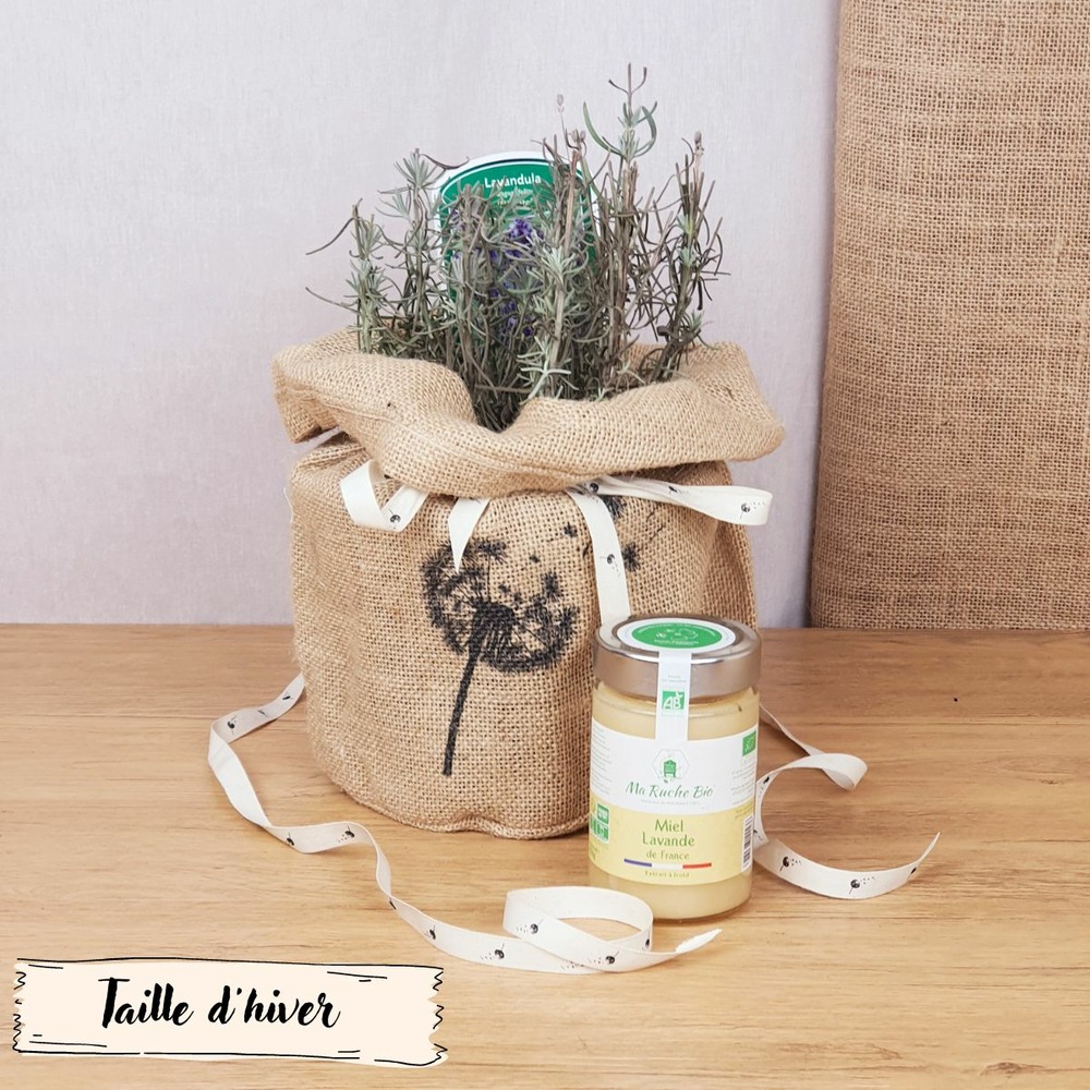 Coffret d'une plante de lavande, symbole de douceur et zénitude, avec son miel de lavande bio