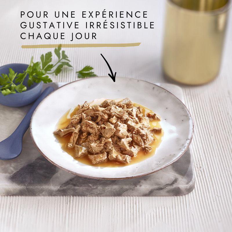 Lot mixte Gourmet Perle 12 x 85 g