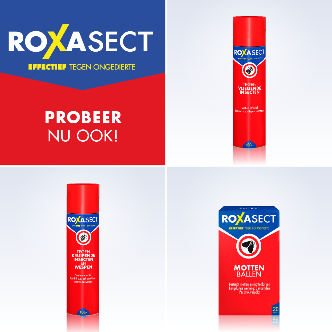 Roxasect Zilvervisjesval (2 stuks)