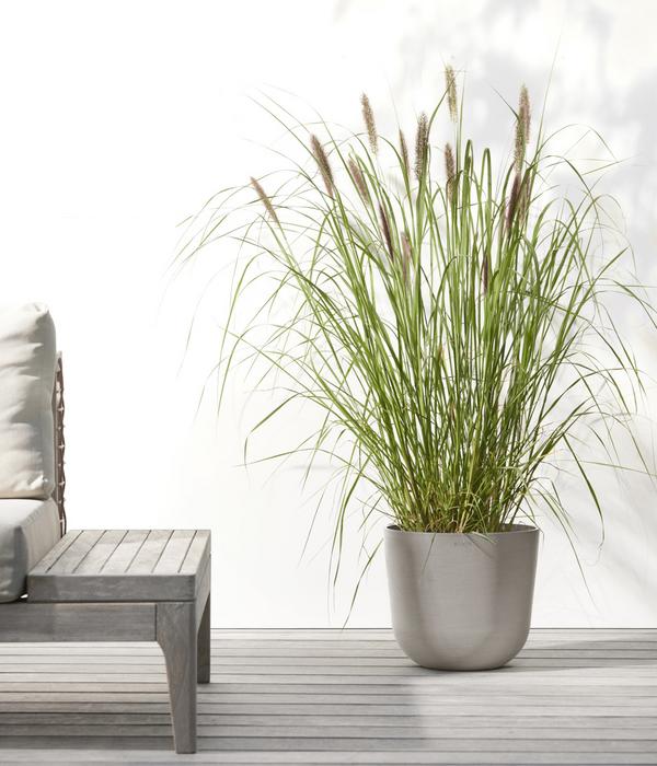 Ecopots Kunststoff-Topf Oslo mit Wassersystem,