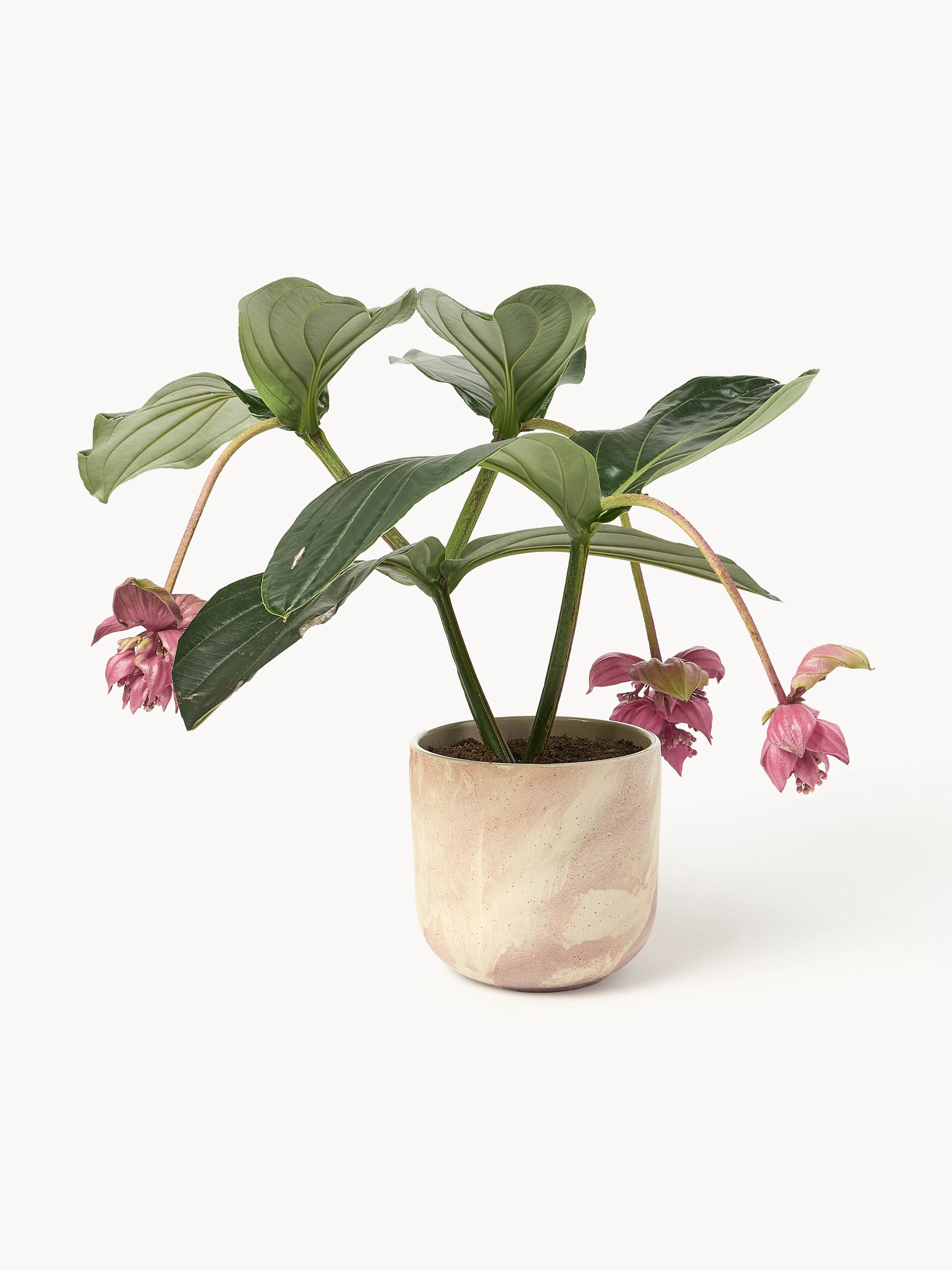 Plantenpot Kiko met marmerlook, H 17 cm