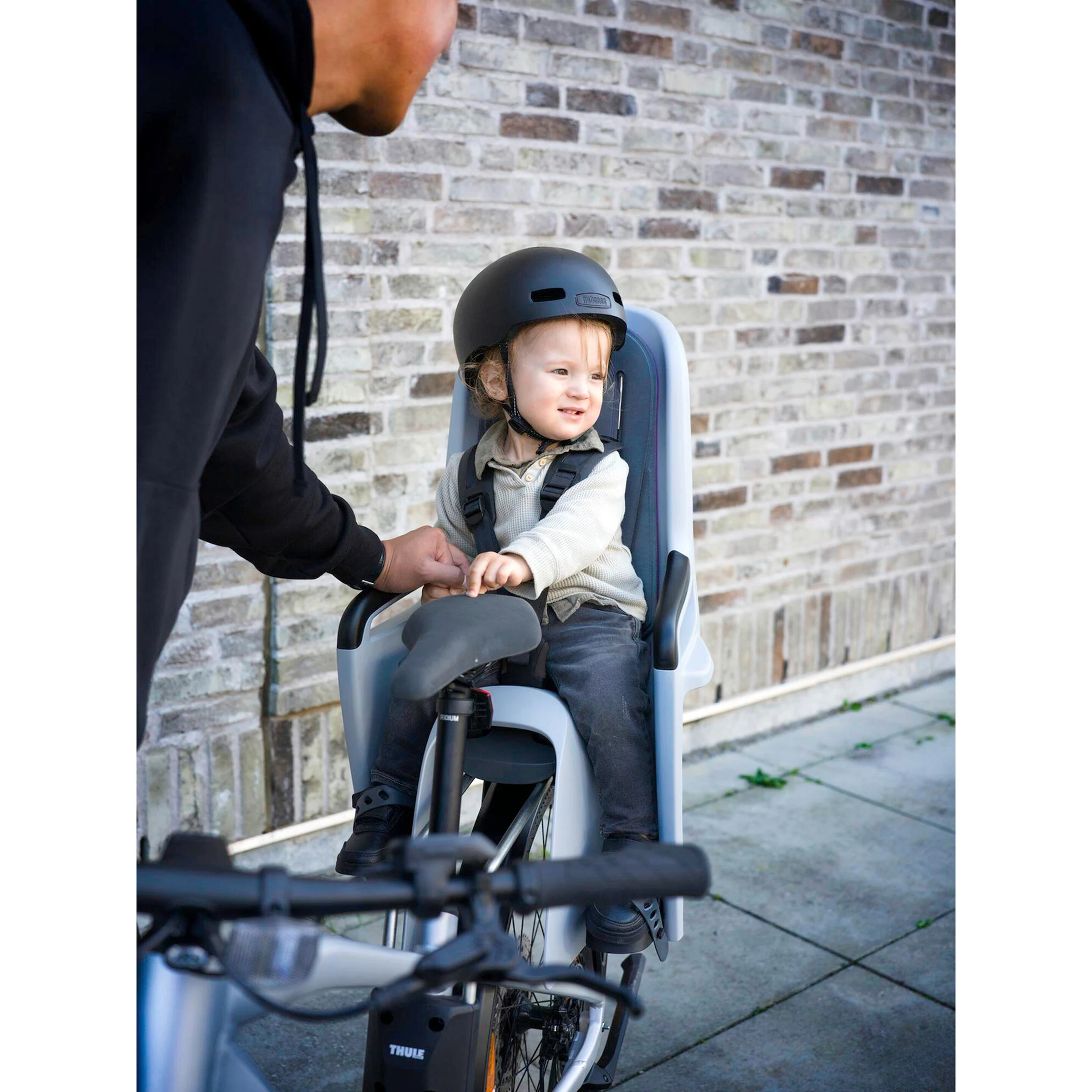 Thule Kinderfahrradsitz RideAlong 2 light gray
