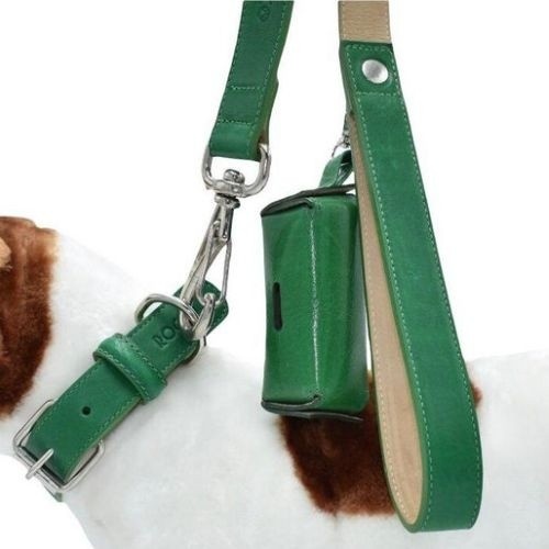Conjunto Leal Rocco coleira verde para cães