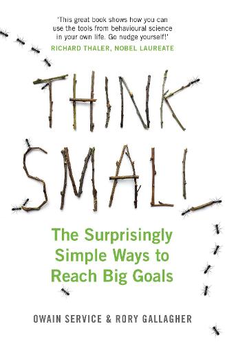Think Small: The Surprisingly Simple Ways to Reach Big Goals (Paperback)