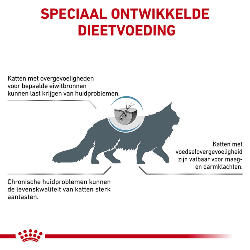 Royal Canin Anallergenic Kat