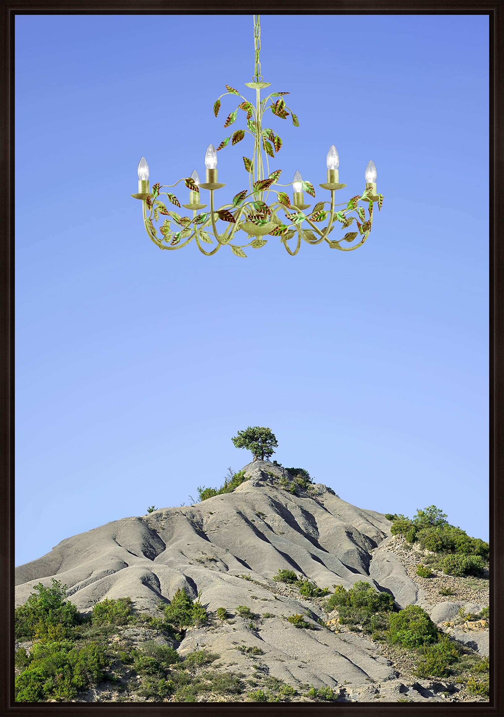 The Tree, Pyrenees  by Ciuco Gutiérrez - Limited Edition. Edition of: 150. Signed.