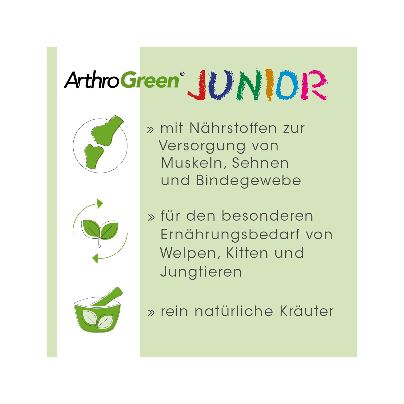 cdVet ArthroGreen Junior 25 g