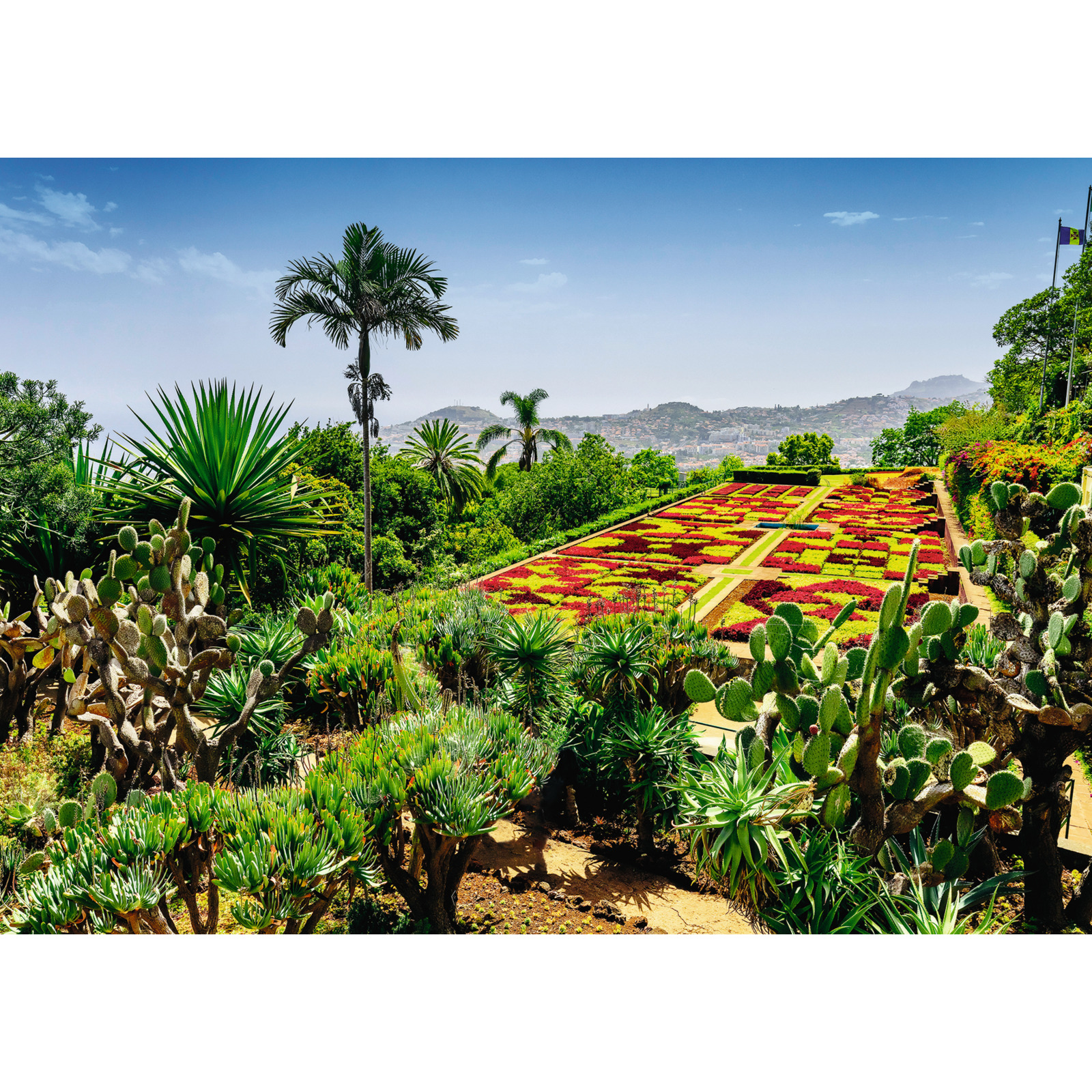 Ravensburger Puzzle Botanical Garden Madeira
